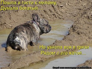 click for enlarge 480 X 360 61.2 Kb picture