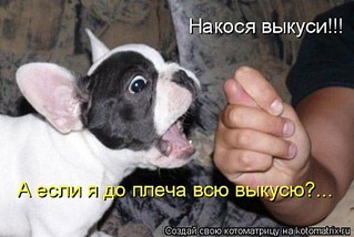 click for enlarge 480 X 322 41.1 Kb picture