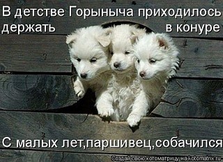click for enlarge 480 X 350 58.9 Kb picture