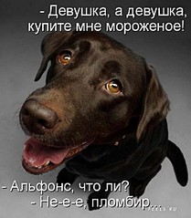 click for enlarge 480 X 550 53.1 Kb picture