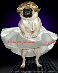 click for enlarge 480 X 604 54.5 Kb picture