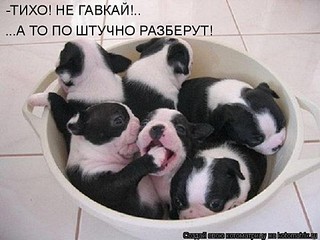 click for enlarge 480 X 360 41.3 Kb picture