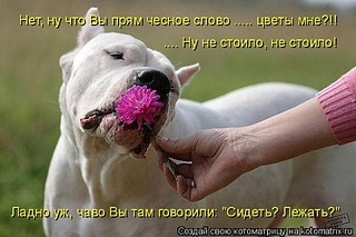 click for enlarge 480 X 320 43.8 Kb picture