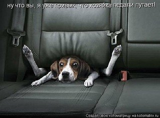 click for enlarge 480 X 355 38.5 Kb picture