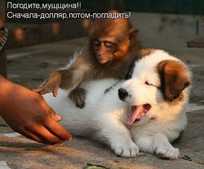 click for enlarge 480 X 398 44.3 Kb picture