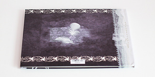 click for enlarge 1920 X 960 507.8 Kb picture