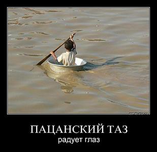 click for enlarge 800 X 776 58.0 Kb picture