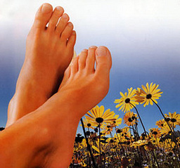 click for enlarge 500 X 467  98.3 Kb picture