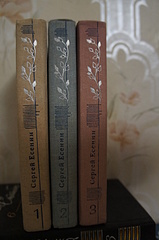 click for enlarge 1920 X 2889 278.5 Kb picture