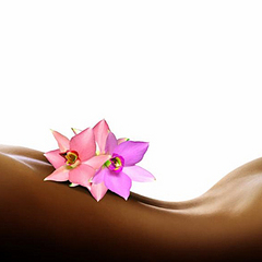 click for enlarge 364 X 364 45.5 Kb picture