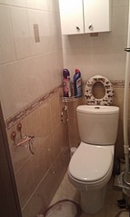 click for enlarge 1552 X 2592 645.5 Kb picture