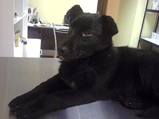 click for enlarge 640 X 480 35.3 Kb picture