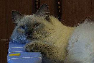 click for enlarge 800 X 533 71.3 Kb picture