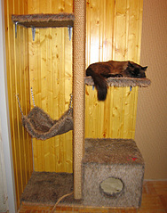 click for enlarge 550 X 700 181.8 Kb picture