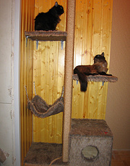 click for enlarge 550 X 700 165.3 Kb picture