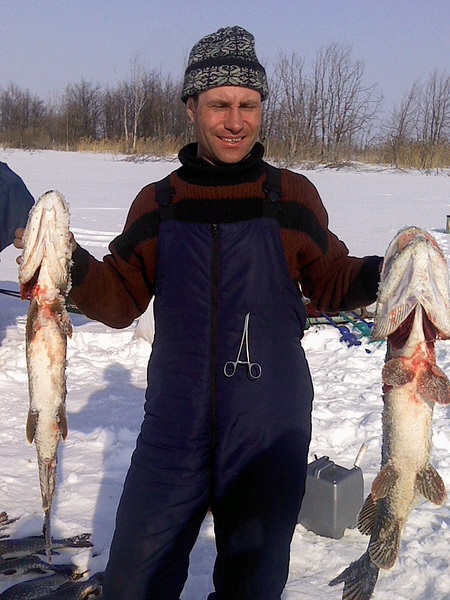 click for enlarge 1536 X 2048 626.4 Kb picture