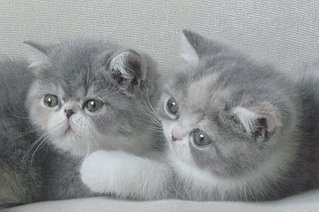 click for enlarge 800 X 532 83.9 Kb picture
