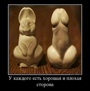click for enlarge 698 X 700  65.0 Kb picture