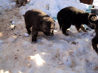 click for enlarge 604 X 453 59.3 Kb picture