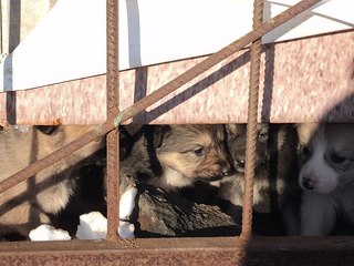 click for enlarge 604 X 453 58.6 Kb picture