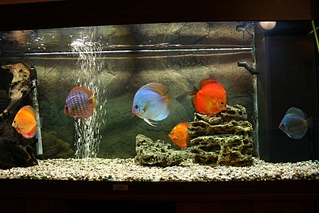 click for enlarge 1024 X 683 333.4 Kb picture