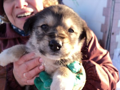 click for enlarge 1280 X 960 142.0 Kb picture