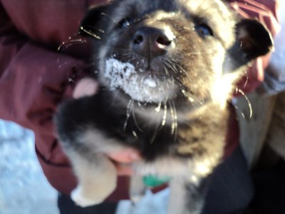 click for enlarge 1280 X 960 123.7 Kb picture