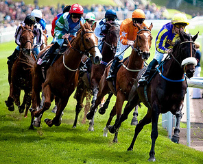 click for enlarge 500 X 405 173.7 Kb picture