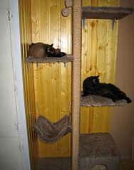 click for enlarge 550 X 700 154.8 Kb picture