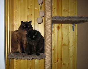 click for enlarge 700 X 550 143.9 Kb picture