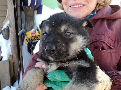 click for enlarge 1280 X 960 214.5 Kb picture