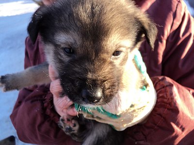 click for enlarge 1280 X 960 182.1 Kb picture