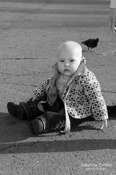click for enlarge 533 X 800 149.4 Kb picture