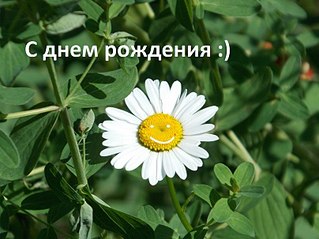 click for enlarge 807 X 605 90.1 Kb picture