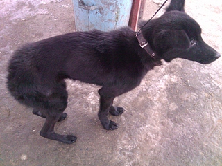 click for enlarge 1920 X 1440 200.2 Kb picture