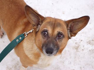 click for enlarge 1024 X 768 73.3 Kb picture