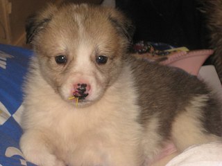 click for enlarge 604 X 453 36.4 Kb picture