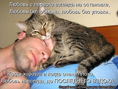 click for enlarge 480 X 360 50.3 Kb picture