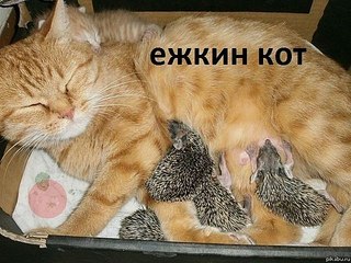 click for enlarge 604 X 453  82.3 Kb picture