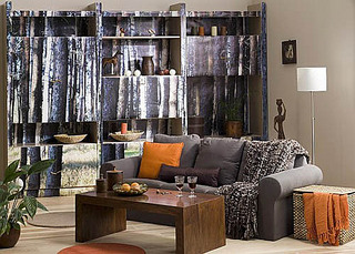 click for enlarge 500 X 358  74.2 Kb picture