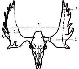 click for enlarge 296 X 258 10.2 Kb picture