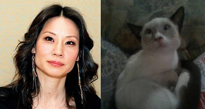 click for enlarge 640 X 342  39.7 Kb picture