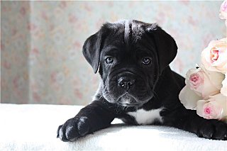 click for enlarge 640 X 426 36.1 Kb picture