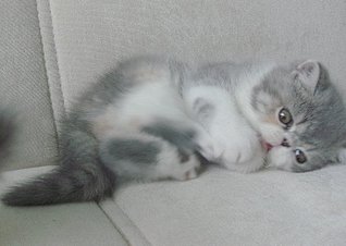 click for enlarge 800 X 567 82.8 Kb picture