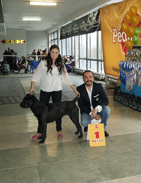 click for enlarge 625 X 807 170.7 Kb picture