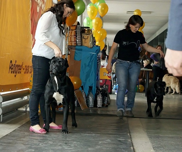 click for enlarge 807 X 676 143.1 Kb picture