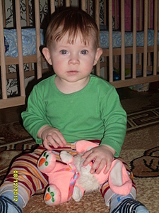 click for enlarge 1920 X 2560 366.7 Kb picture