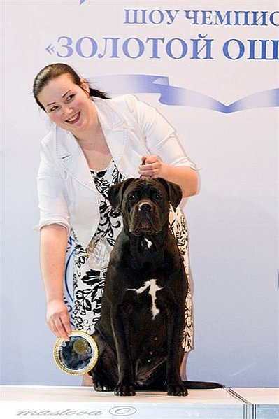 click for enlarge 426 X 640 45.7 Kb picture