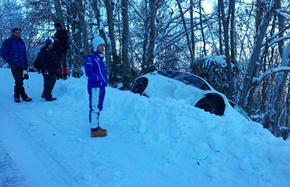 click for enlarge 755 X 489 686.8 Kb picture