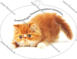 click for enlarge 1140 X 869 137.7 Kb picture